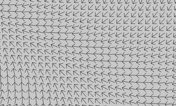 single_boid_in_a_flowfield